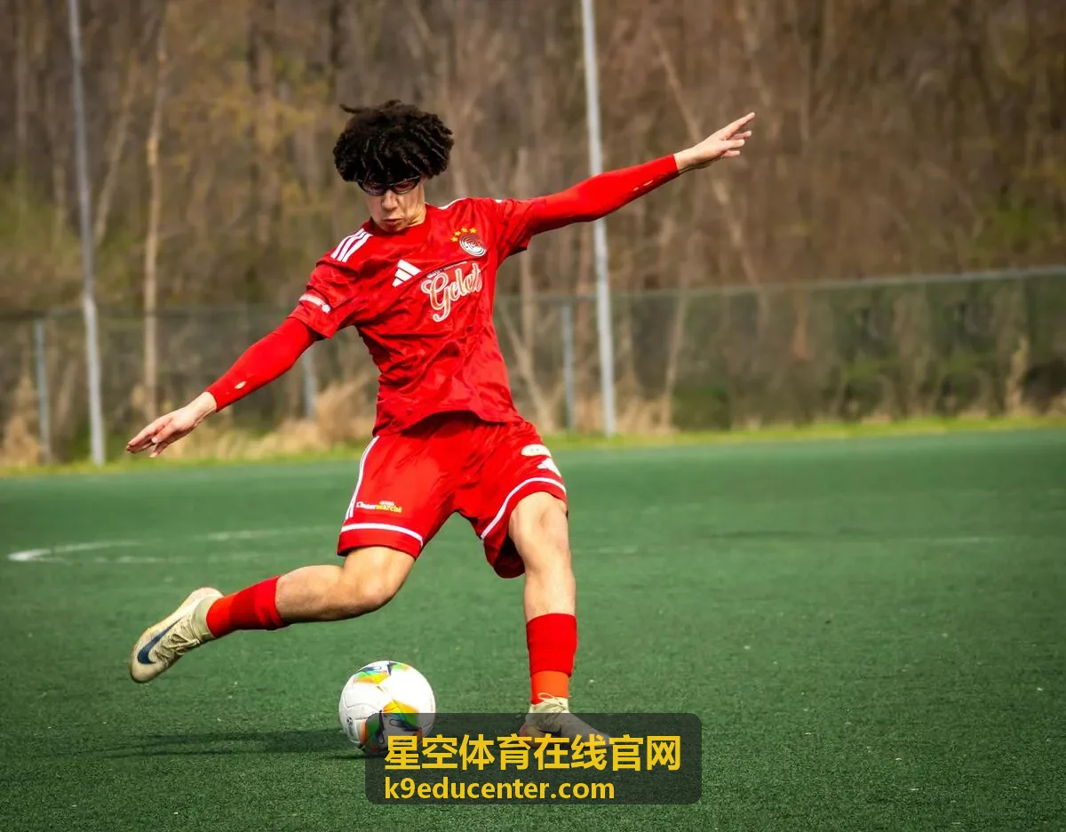 星空体育在线官网新手引导板块背景图