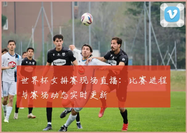 世界杯女排赛现场直播：比赛进程与赛场动态实时更新