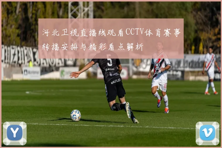 河北卫视直播线观看CCTV体育赛事转播安排与精彩看点解析