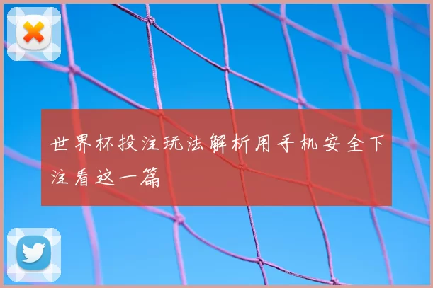 世界杯投注玩法解析用手机安全下注看这一篇