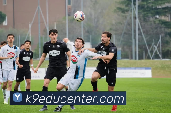 熊猫体育官方网站品牌故事