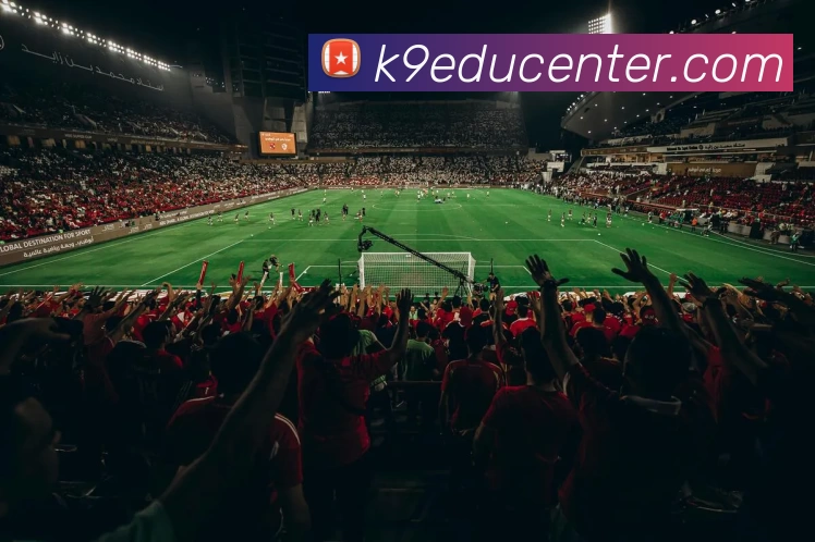 熊猫体育官方网站服务体系