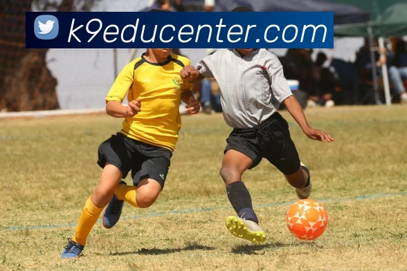 多媒体互动体验